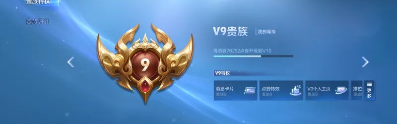 为什么你们的皮肤都这么多，我贵9才133个