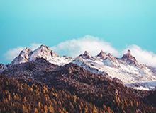 山东啦啦队上新舞蹈：有这种篮球宝贝，你会来现场看球吗